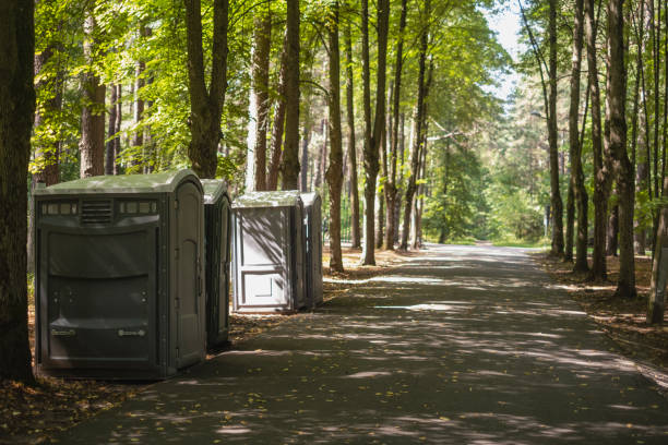 Best Affordable porta potty rental  in Mount Clemens, MI
